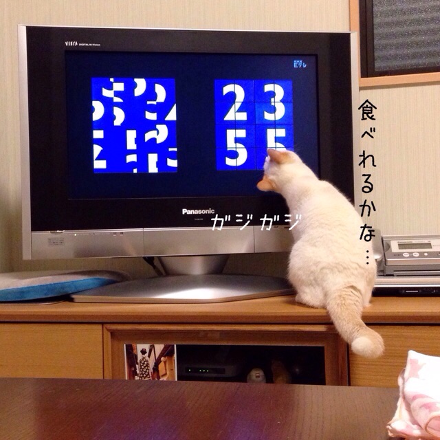 f:id:akiyochan15:20150120132048j:image:w400