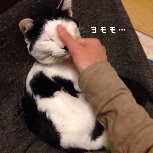 f:id:akiyochan15:20150120190233j:image:w400