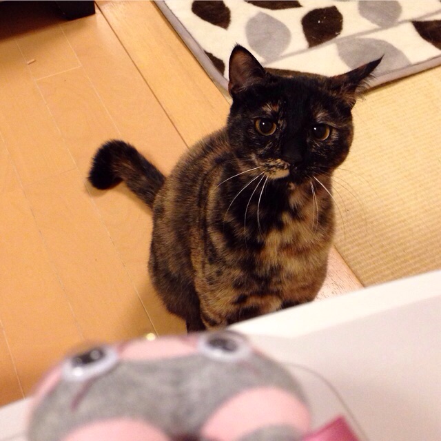 f:id:akiyochan15:20150127162508j:image:w400