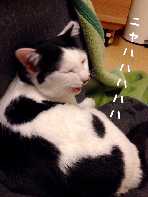 f:id:akiyochan15:20150127162528j:image:w389