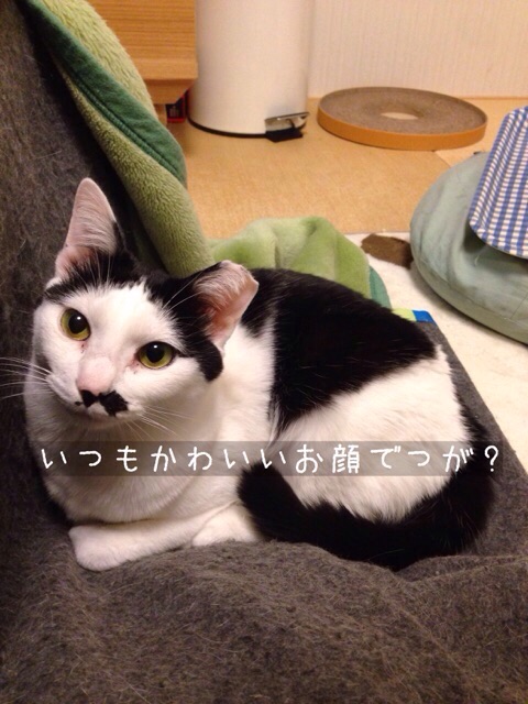 f:id:akiyochan15:20150127194113j:image:w389