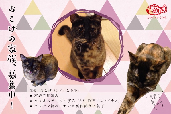 f:id:akiyochan15:20150520162511j:image:w400 f:id:akiyochan15:20150520162511j:image:w400