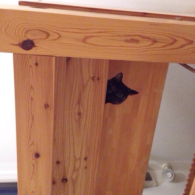 f:id:akiyochan15:20150602130251j:image:w400 f:id:akiyochan15:20150602130251j:image:w400