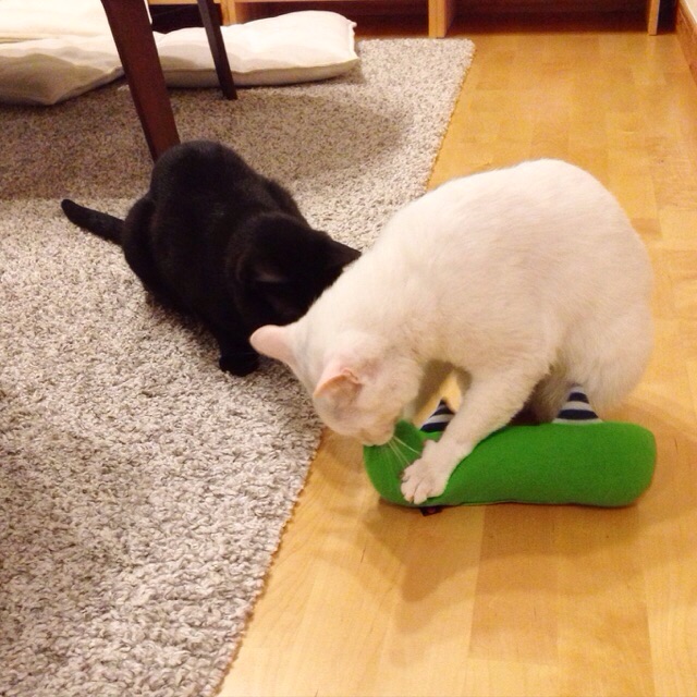 f:id:akiyochan15:20150607172025j:image:w400