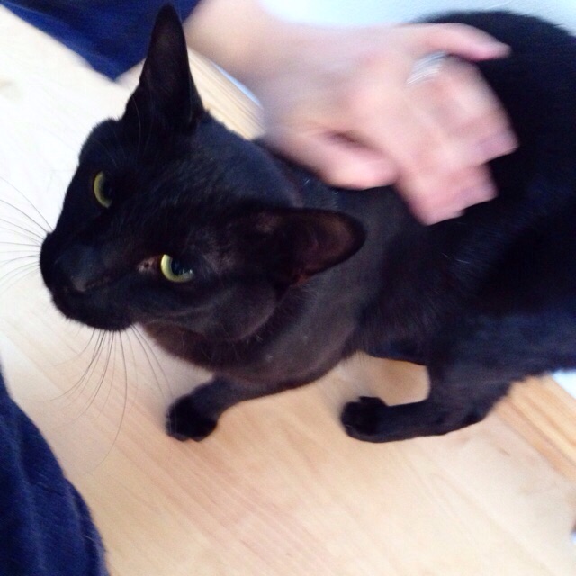 f:id:akiyochan15:20150607172026j:image:w400