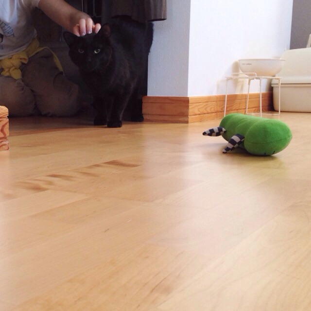 f:id:akiyochan15:20150607172027j:image:w400