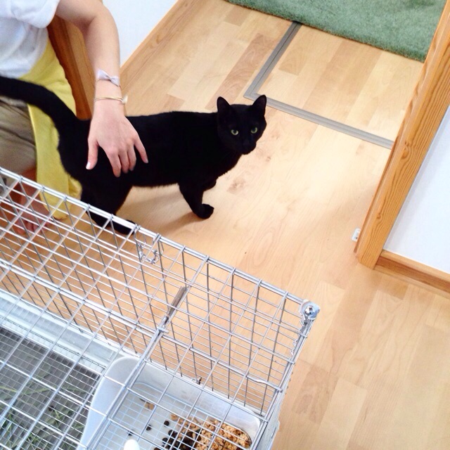 f:id:akiyochan15:20150607172140j:image:w400