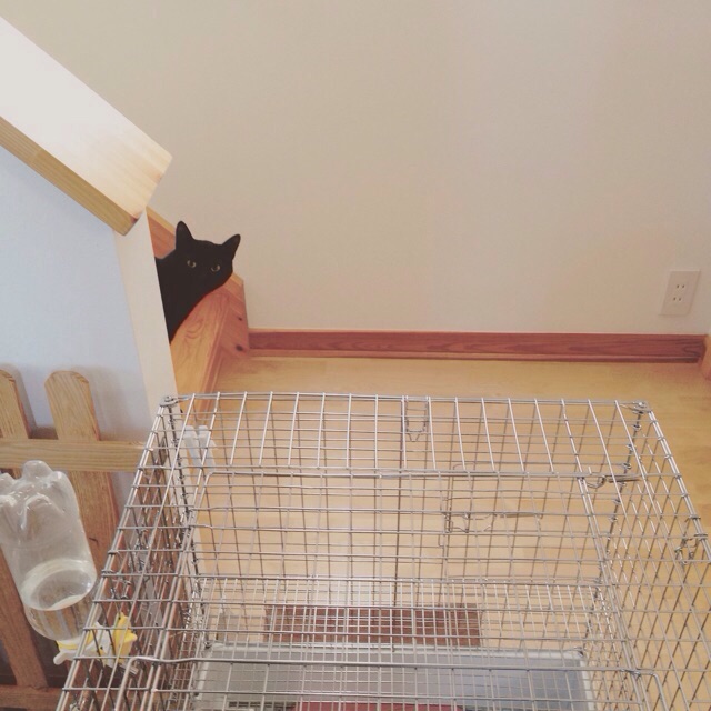 f:id:akiyochan15:20150607172217j:image:w400