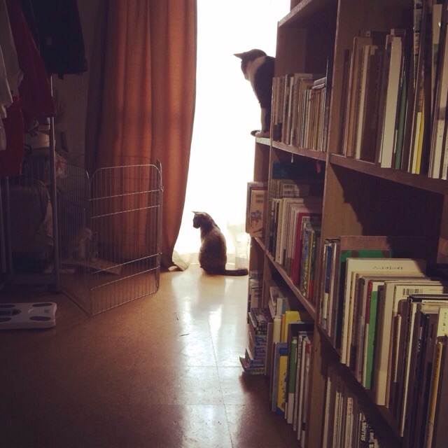 f:id:akiyochan15:20150727222140j:image:w400