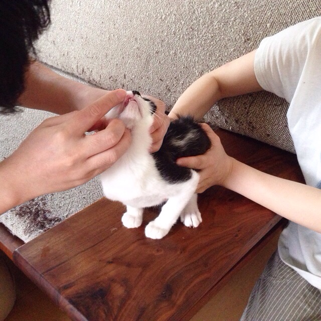 f:id:akiyochan15:20150803201350j:image:w400