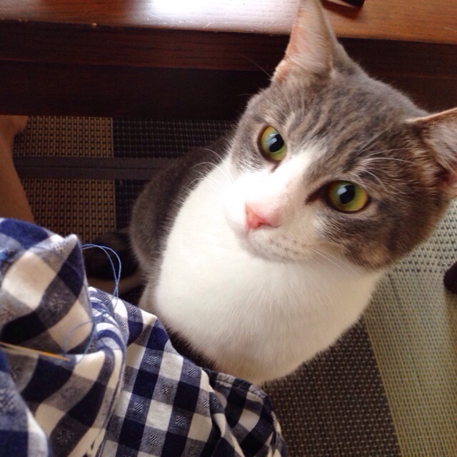 f:id:akiyochan15:20150830145417j:image:w400 f:id:akiyochan15:20150830145417j:image:w400