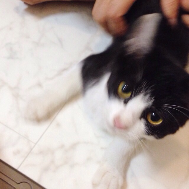 f:id:akiyochan15:20150910131404j:image:w400 f:id:akiyochan15:20150910131404j:image:w400