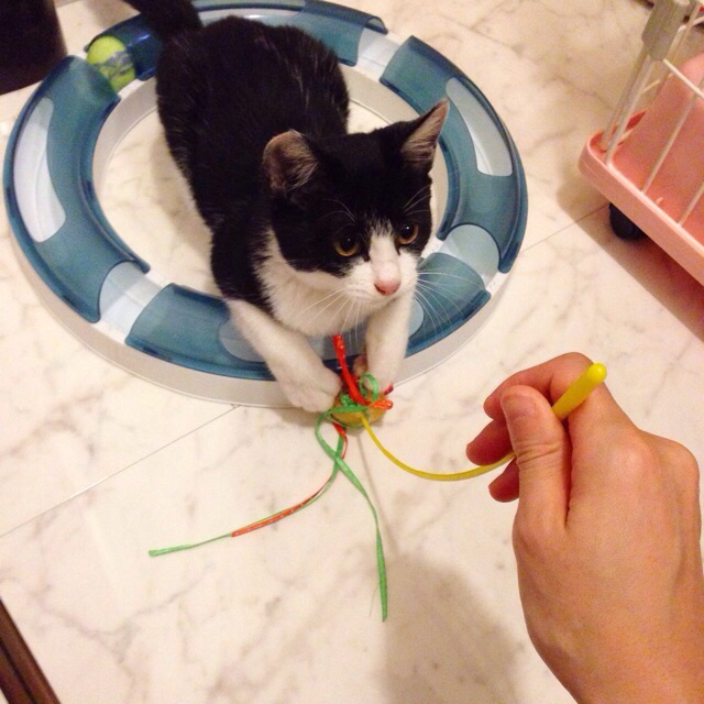 f:id:akiyochan15:20150915120957j:image:w400