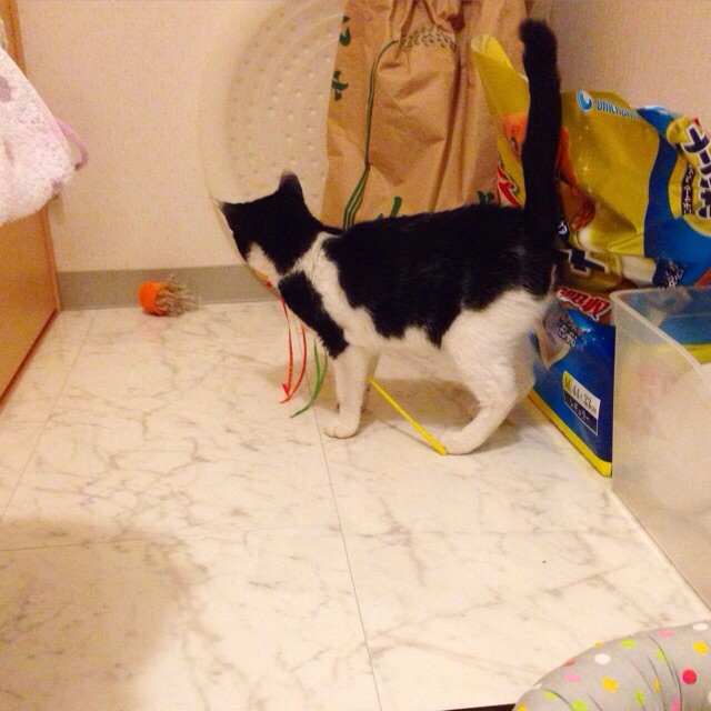 f:id:akiyochan15:20150915120958j:image:w400