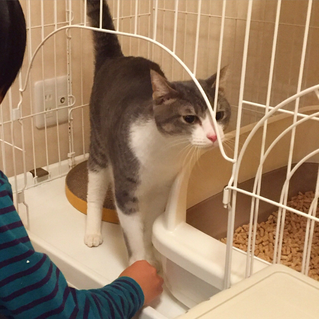 f:id:akiyochan15:20151123195321j:image:w600 f:id:akiyochan15:20151123195321j:image:w600