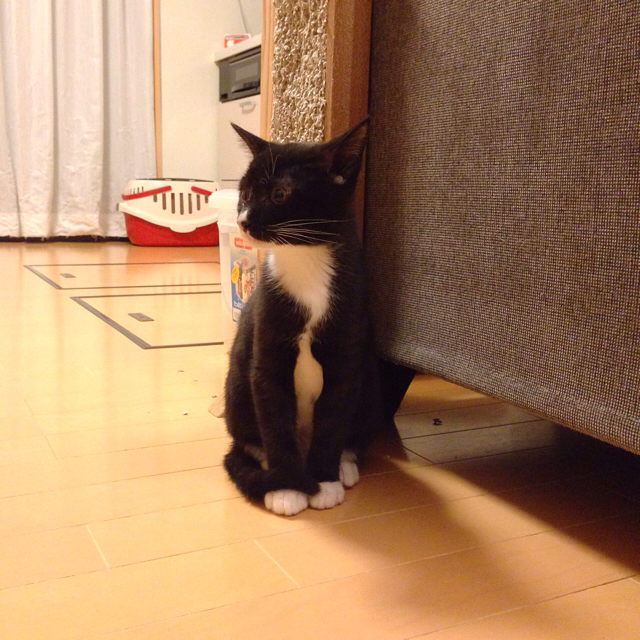 f:id:akiyochan15:20151209123505j:image:w600