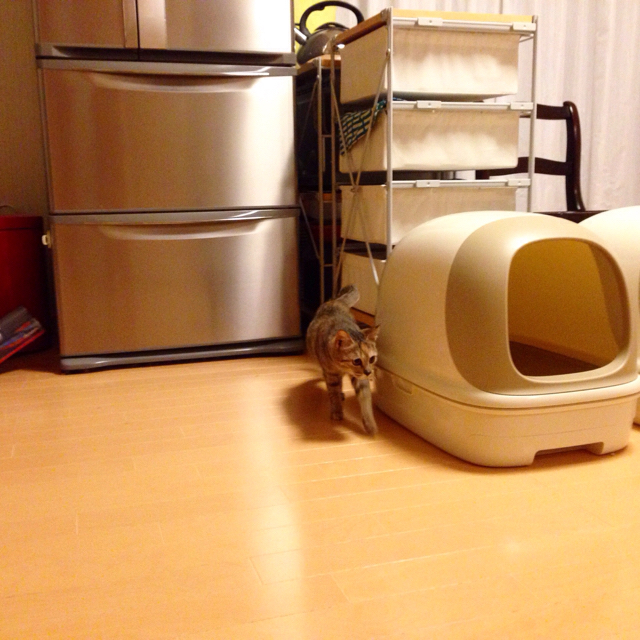 f:id:akiyochan15:20151209123512j:image:w600