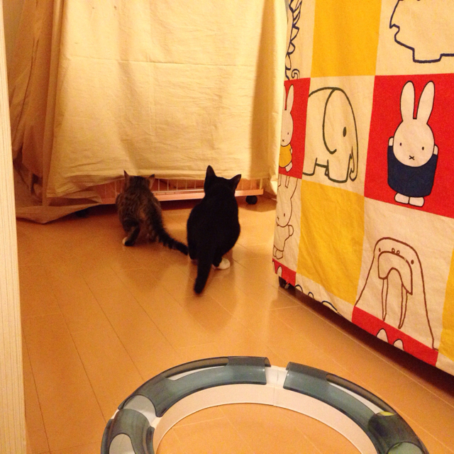 f:id:akiyochan15:20151209123559j:image:w600