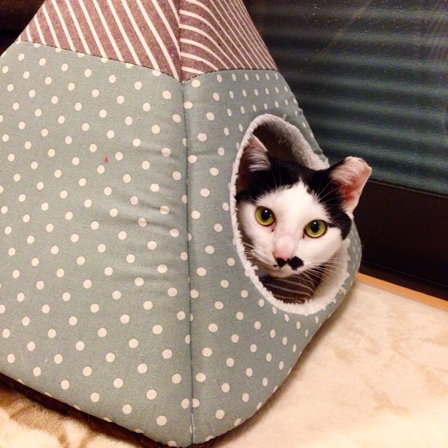 f:id:akiyochan15:20160114105956j:image:w600 f:id:akiyochan15:20160114105956j:image:w600