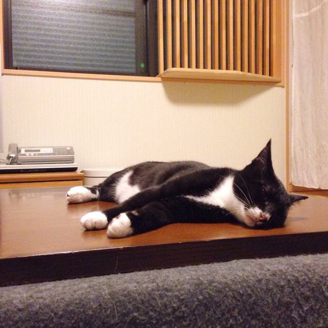 f:id:akiyochan15:20160117055903j:image:w500 f:id:akiyochan15:20160117055903j:image:w500