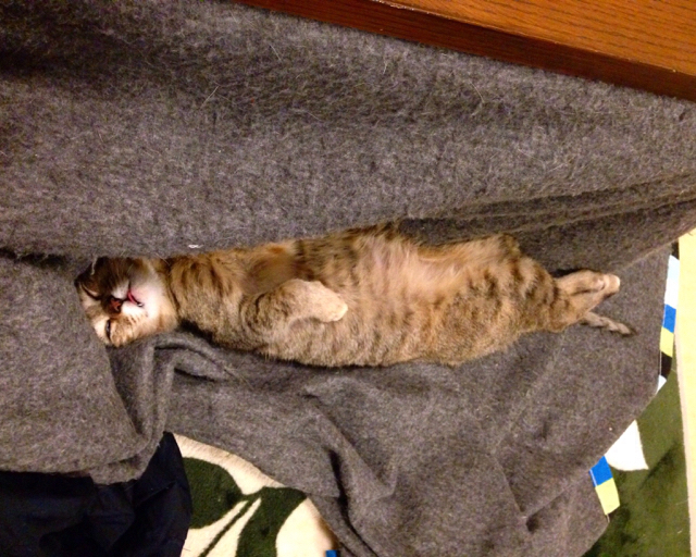 f:id:akiyochan15:20160117055905j:image:w500 f:id:akiyochan15:20160117055905j:image:w500