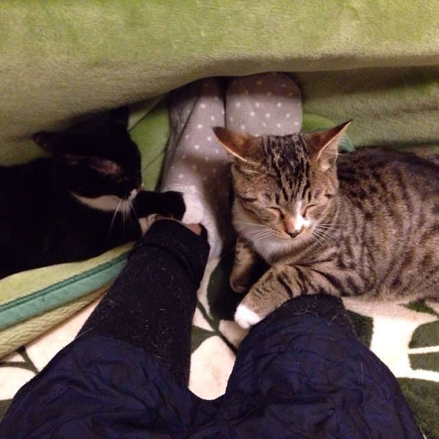 f:id:akiyochan15:20160128133457j:image:w500