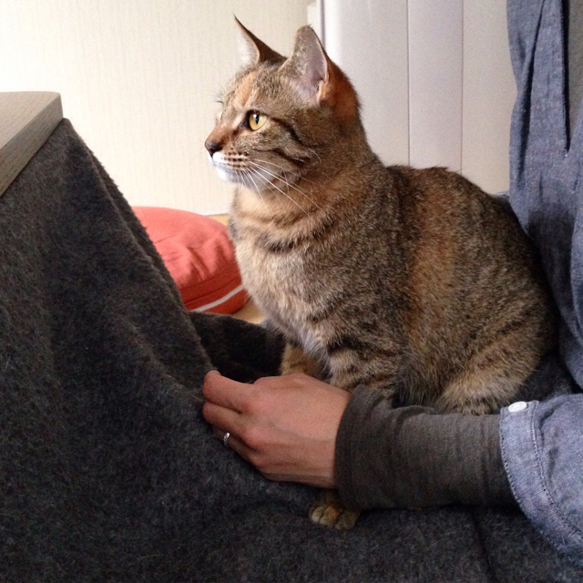 f:id:akiyochan15:20160323200303j:image:w500 f:id:akiyochan15:20160323200303j:image:w500