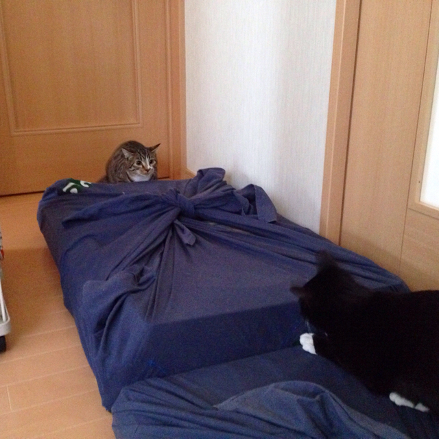 f:id:akiyochan15:20160323200402j:image:w500 f:id:akiyochan15:20160323200402j:image:w500