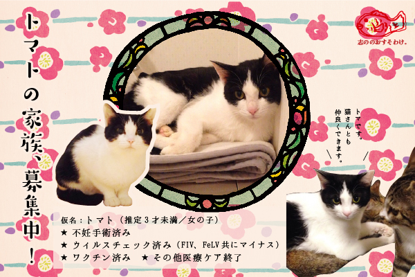 f:id:akiyochan15:20160602131028j:image:w600 f:id:akiyochan15:20160602131028j:image:w600