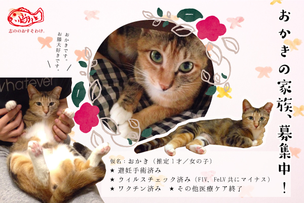 f:id:akiyochan15:20160613163000j:image:w450 f:id:akiyochan15:20160613163000j:image:w450