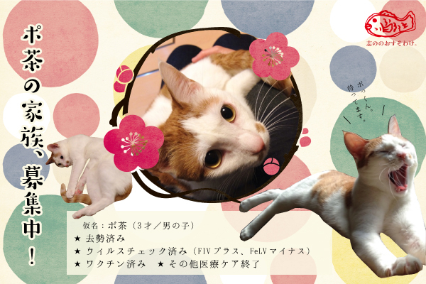 f:id:akiyochan15:20160613163001j:image:w450 f:id:akiyochan15:20160613163001j:image:w450