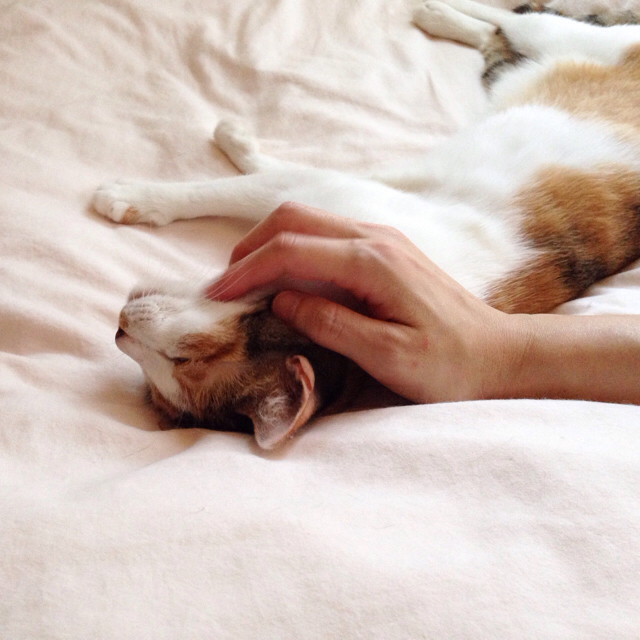 f:id:akiyochan15:20160719125222j:image:w500 f:id:akiyochan15:20160719125222j:image:w500