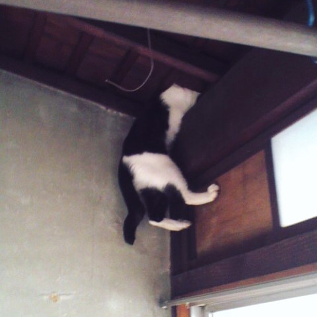 f:id:akiyochan15:20160722131216j:image:w400