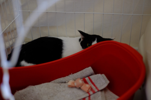 f:id:akiyochan15:20160725200547j:image:w518