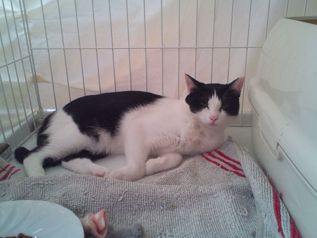 f:id:akiyochan15:20160801200811j:image:w518 f:id:akiyochan15:20160801200811j:image:w518