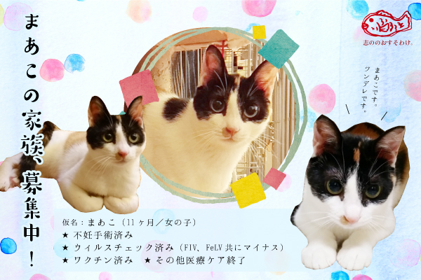 f:id:akiyochan15:20160808014122j:image:w450 f:id:akiyochan15:20160808014122j:image:w450