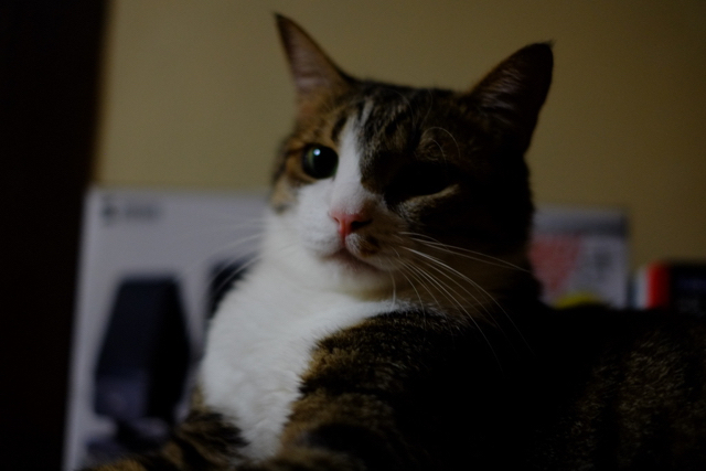 f:id:akiyochan15:20160811031808j:image:w518