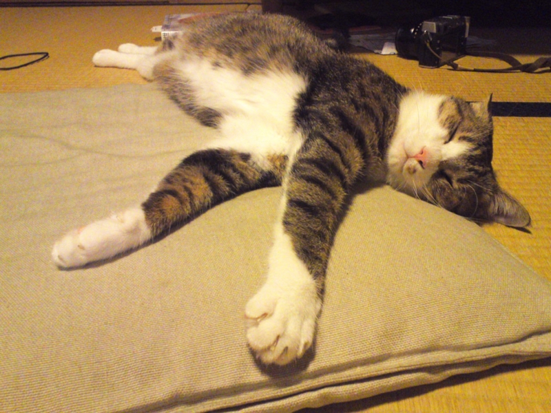 f:id:akiyochan15:20160815210806j:image:w400