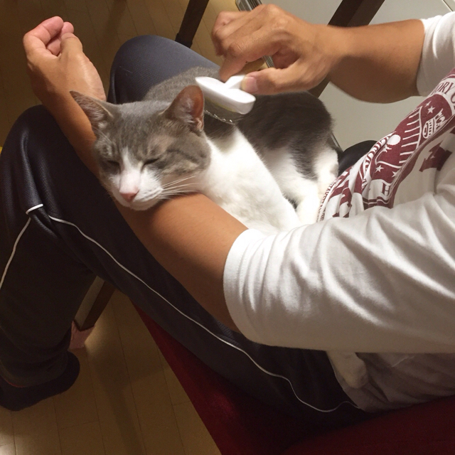 f:id:akiyochan15:20160817014257j:image:w500