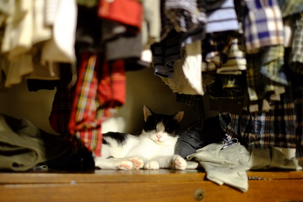 f:id:akiyochan15:20160827192737j:image:w600 f:id:akiyochan15:20160827192737j:image:w600