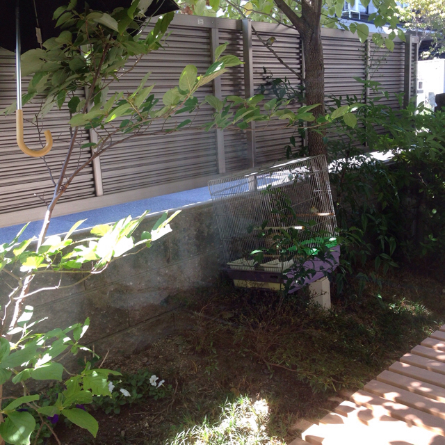 f:id:akiyochan15:20160828213546j:image:w500