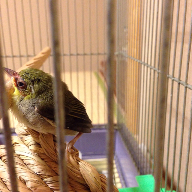 f:id:akiyochan15:20160828213655j:image:w500