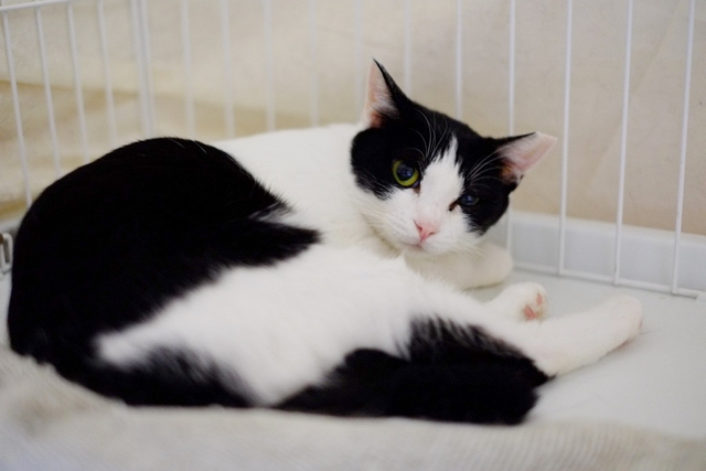 f:id:akiyochan15:20160905130511j:image:w600 f:id:akiyochan15:20160905130511j:image:w600