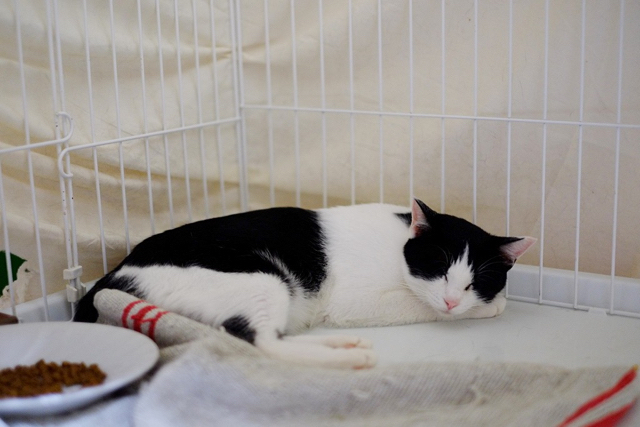 f:id:akiyochan15:20160905130514j:image:w600 f:id:akiyochan15:20160905130514j:image:w600