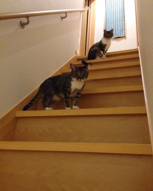 f:id:akiyochan15:20160928161811j:image:w400