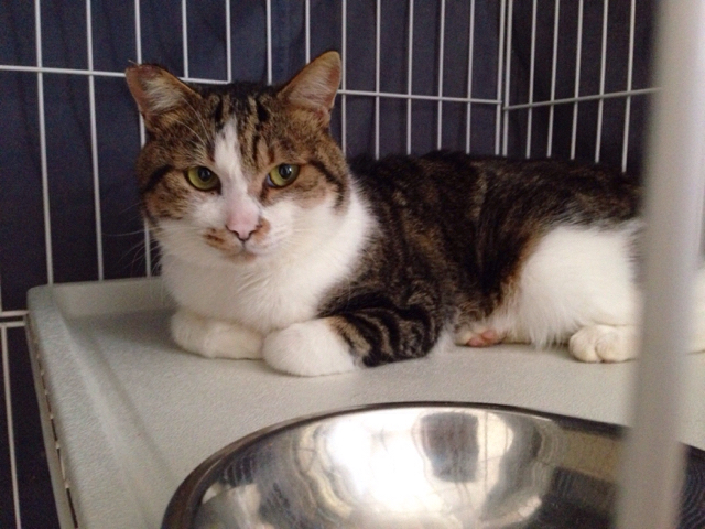 f:id:akiyochan15:20161017151907j:image:w518 f:id:akiyochan15:20161017151907j:image:w518