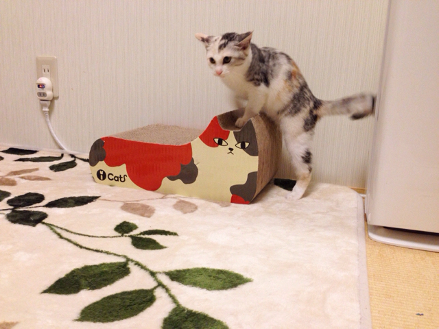 f:id:akiyochan15:20161024163453j:image:w518 f:id:akiyochan15:20161024163453j:image:w518