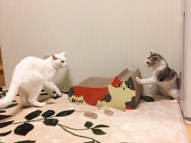 f:id:akiyochan15:20161024163456j:image:w518 f:id:akiyochan15:20161024163456j:image:w518