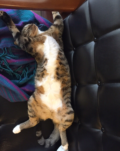 f:id:akiyochan15:20161109161515j:image:w389