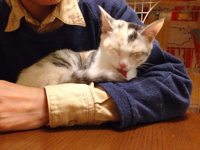 f:id:akiyochan15:20161115163006j:image:w518